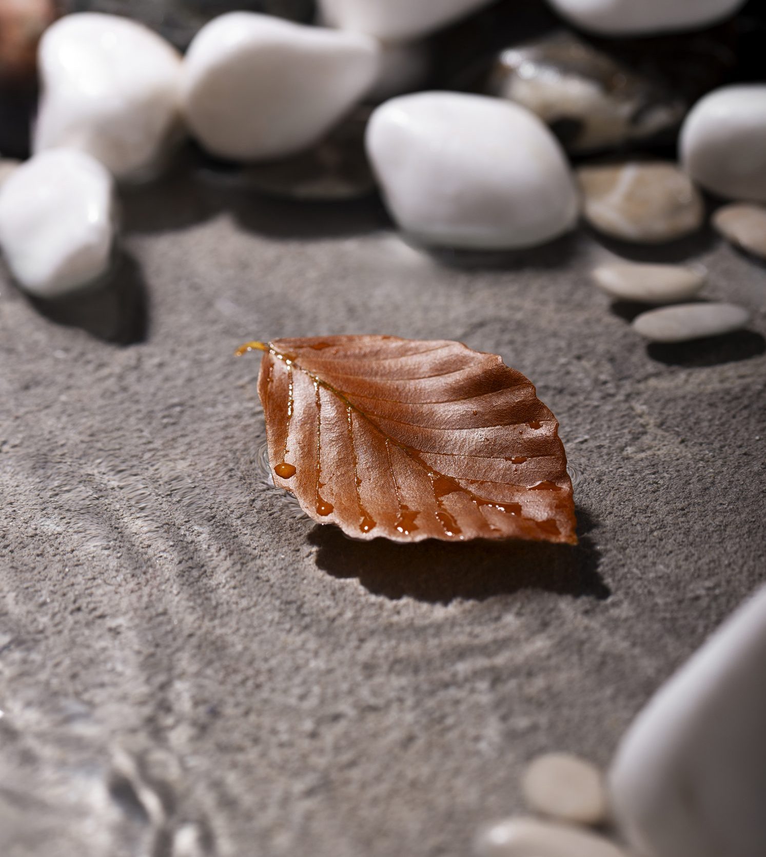 A brown leaf surrounded by white and gray pebbles