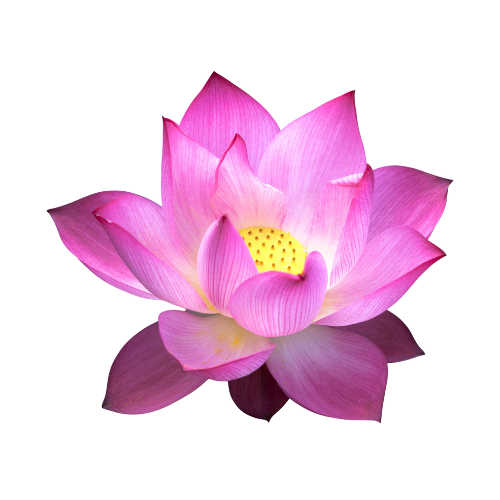 Women’s InnerFitness & Wellness Center logo